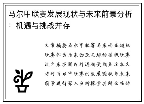 马尔甲联赛发展现状与未来前景分析：机遇与挑战并存