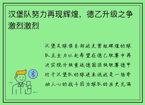汉堡队努力再现辉煌，德乙升级之争激烈激烈