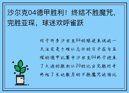 沙尔克04德甲胜利！终结不胜魔咒，完胜亚琛，球迷欢呼雀跃
