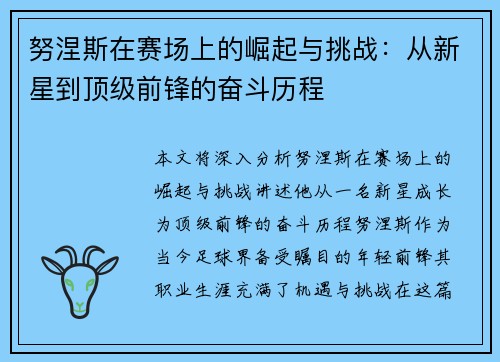努涅斯在赛场上的崛起与挑战：从新星到顶级前锋的奋斗历程